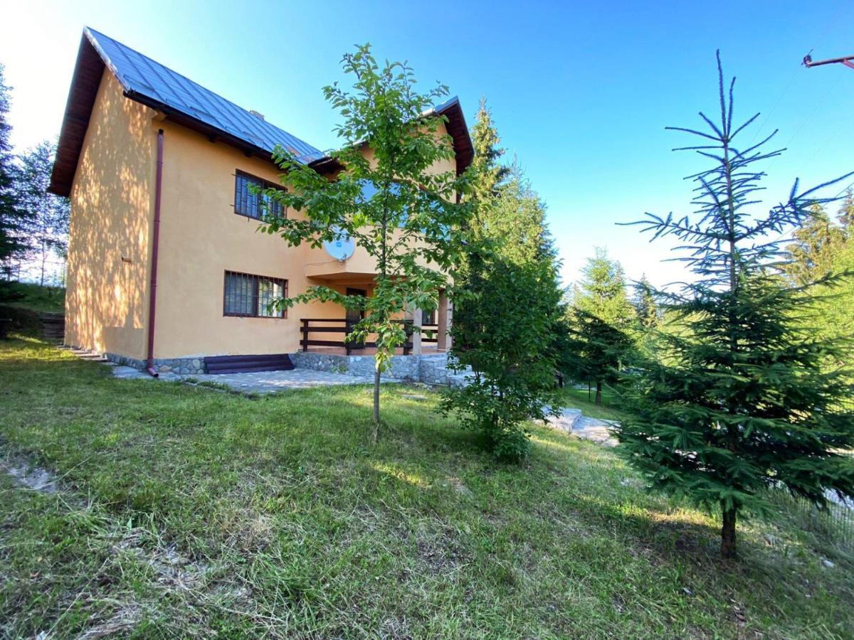 Casa Ionel Si Dani Villa Fundata Luaran gambar