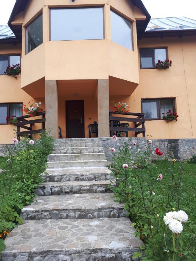 Casa Ionel Si Dani Villa Fundata Luaran gambar