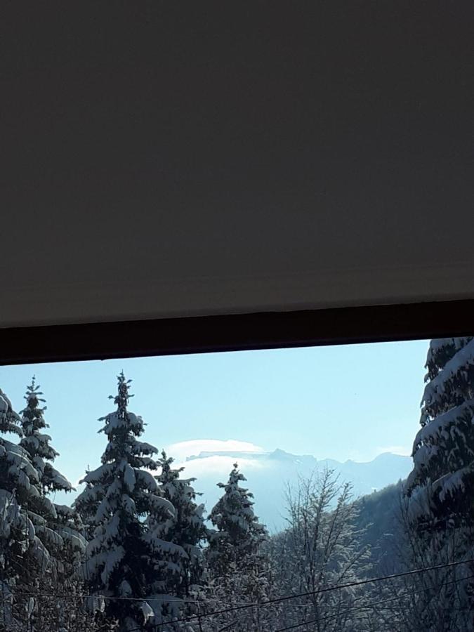 Casa Ionel Si Dani Villa Fundata Luaran gambar